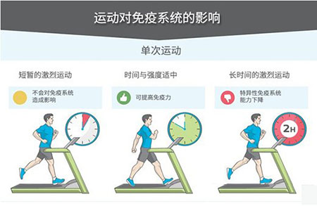 运动对免疫系统的影响 运动对免疫系统的影响